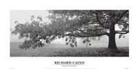 Autumn Oak by Richard Calvo - 22" x 11"