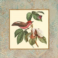 Bel Air Songbirds I Fine Art Print
