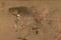 Trout Rising Fine Art Print