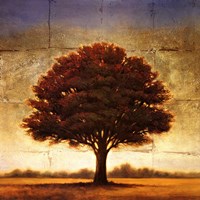 Splendor I Fine Art Print