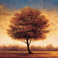 Splendor II Fine Art Print