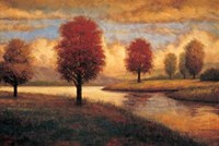 Serene I Fine Art Print