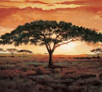 Masai Tree Fine Art Print