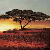 Red Plains Fine Art Print