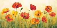 Prato Di Papaveri Fine Art Print