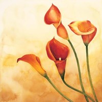 Brezza Sulle Calle Fine Art Print