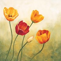 Brezza Sui Tulipani Fine Art Print