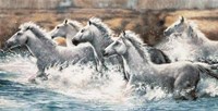 Running Wild Fine Art Print