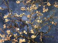 Blossoming Almond Tree, Saint-Remy, c.1890 Fine Art Print