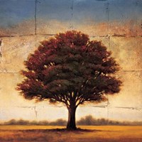 Splendor I Fine Art Print