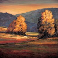 In All Its Glory II Fine Art Print