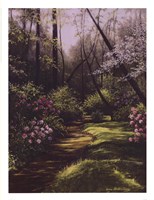 Spring Woods Fine Art Print