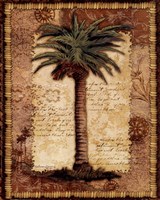 Classic Palm I Fine Art Print