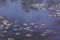 Waterlillies Fine Art Print