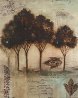 Natural Light II Fine Art Print