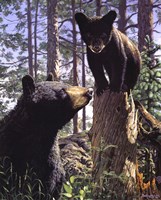 Stump Jumper Fine Art Print