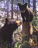 Stump Jumper Fine Art Print