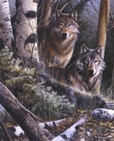 Watchful Eyes Fine Art Print