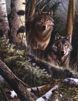 Watchful Eyes Fine Art Print