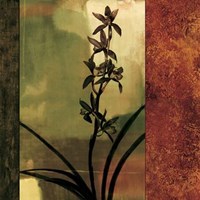 Mesmerized I Fine Art Print