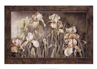 Field of Irises by Linda Thompson - 40" x 28"
