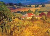 Vineyard Hill Fine Art Print