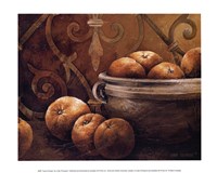 Tuscan Orange Fine Art Print