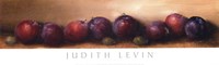 Nature's Bounty I by Judith Levin - 24" x 8"