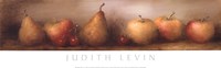 24" x 8" Pear Pictures
