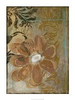 Floral Abstraction II Framed Print