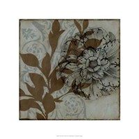 Dusty Rosettes III Framed Print