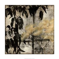 Nature's Breath I Framed Print