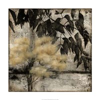 Nature's Breath II Framed Print