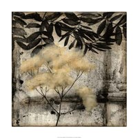 Nature's Breath III Framed Print