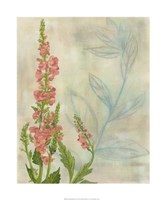 Spring Harvest I Giclee