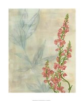 Spring Harvest II Giclee