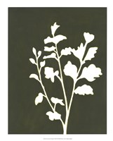 Four Seasons Foliage II Framed Print