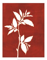 Four Seasons Foliage III Framed Print