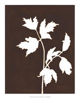 Four Seasons Foliage IV Framed Print