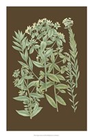 Organic Greenery I Giclee