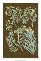 Organic Greenery IV Giclee