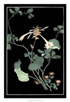 Midnight Floral I Giclee