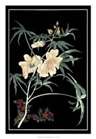 Midnight Floral II Giclee