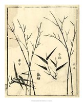 Bamboo Woodblock II Giclee