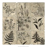 Stone Tile Silhouette II Giclee