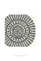 Mini Abstract Rosette II Fine Art Print