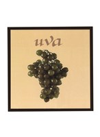 Italian Fruit IV Framed Print