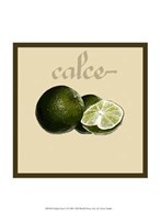 Italian Fruit V Fine Art Print