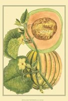Exotic Melons IV Fine Art Print