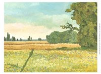 Mini Western Vista IV Fine Art Print